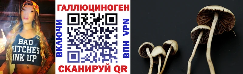 Псилоцибиновые грибы GOLDEN TEACHER  Купить  Шебекино 